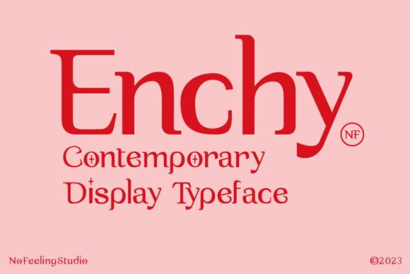 Enchy: A Versatile Slab Serif Font