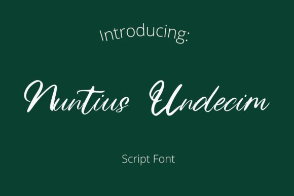 Nuntius Undecim Font for Web Design